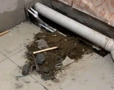 阿瓦提卫生间漏水检测哪家好